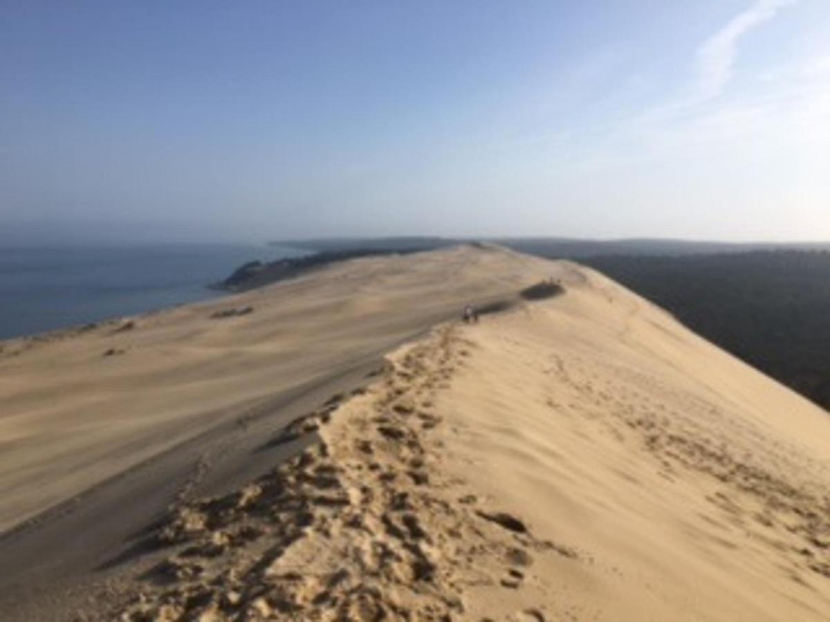 Appartement T2 En Front De Mer A Arcachon, Acces Direct Plage, Parking, Animaux Admis - Fr-1-374-201 Esterno foto